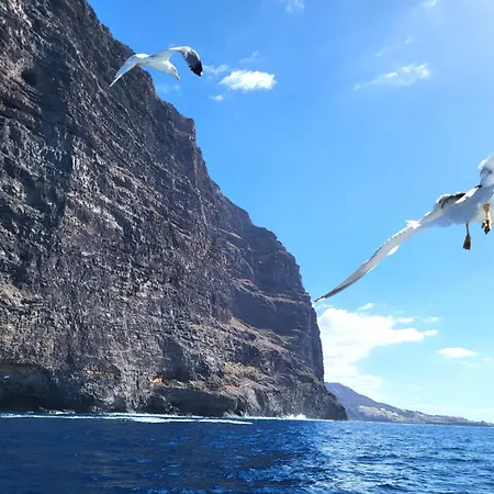 Claudia En Santiago Con Piscina * Puerto de Santiago