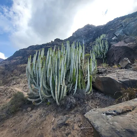 Claudia En Santiago Con Piscina Apartman *